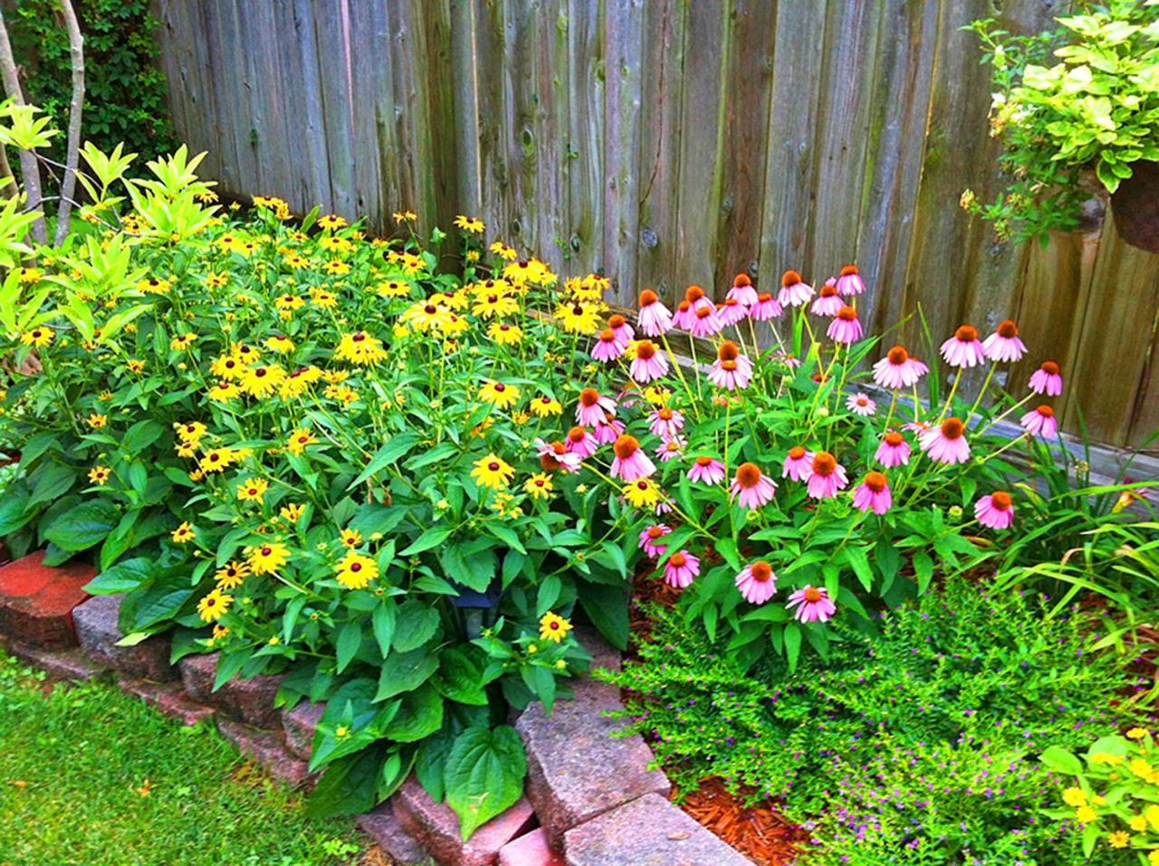 Lyndon House Bed & Breakfast Lexington Luaran gambar